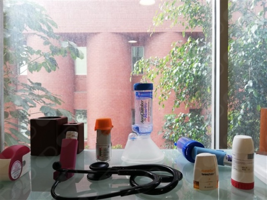 Alejandro Rogelio Canseco Raymundo-7