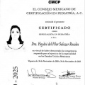 Ampliar imagen: certificate 4