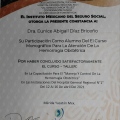 Ampliar imagen: certificate 7