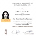 Ampliar imagen: certificate 3