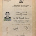 Ampliar imagen: certificate 31