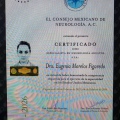 Ampliar imagen: certificate 3