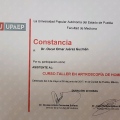 Ampliar imagen: certificate 11