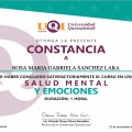 Ampliar imagen: certificate 4