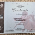 Ampliar imagen: certificate 4