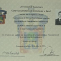 Ampliar imagen: certificate 51