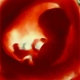 Francisco Javier Hernandez Machain