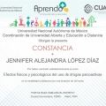 Ampliar imagen: certificate 9