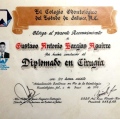 Ampliar imagen: certificate 13