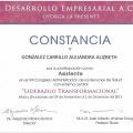 Ampliar imagen: certificate 33