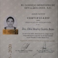 Ampliar imagen: certificate 7