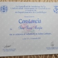Ampliar imagen: certificate 8