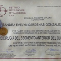 Ampliar imagen: certificate 1