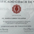 Ampliar imagen: certificate 6