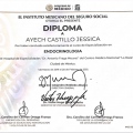 Ampliar imagen: certificate 2