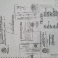 Ampliar imagen: certificate 2