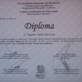 Ampliar imagen: certificate 8