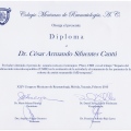 Ampliar imagen: certificate 5
