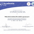 Ampliar imagen: certificate 6