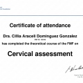 Ampliar imagen: certificate 4