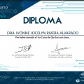 Ampliar imagen: certificate 22