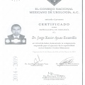 Ampliar imagen: certificate 3