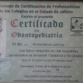 Ampliar imagen: certificate 2