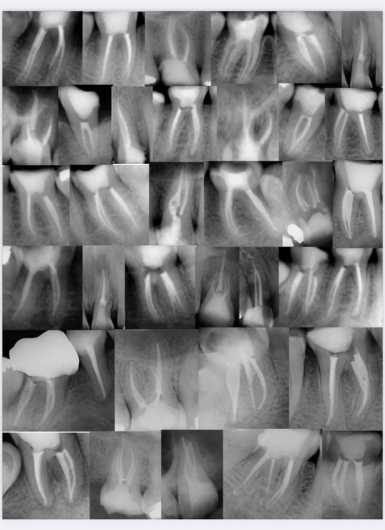 Irma Estefanny Platas Aros-4