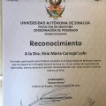 Ampliar imagen: certificate 6
