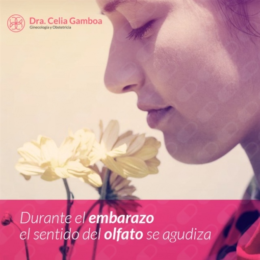 Celia Ivonne Gamboa Altúzar-9