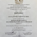 Ampliar imagen: certificate 10