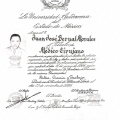 Ampliar imagen: certificate 5