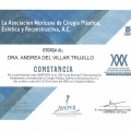Ampliar imagen: certificate 7