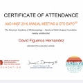 Ampliar imagen: certificate 3