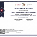 Ampliar imagen: certificate 6