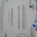 Ampliar imagen: certificate 4