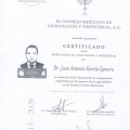 Ampliar imagen: certificate 3