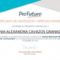 Ampliar imagen: certificate 8