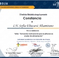 Ampliar imagen: certificate 9