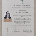 Ampliar imagen: certificate 3