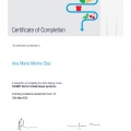 Ampliar imagen: certificate 3