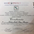 Ampliar imagen: certificate 12