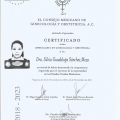 Ampliar imagen: certificate 2