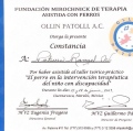 Ampliar imagen: certificate 2