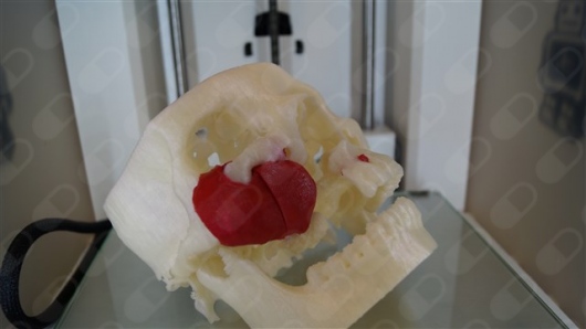 Dayel Gerardo Rosales Díaz Mirón-10