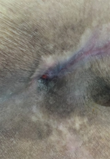 Angel Manuel Piña Jaén-6