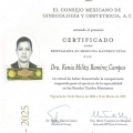 Ampliar imagen: certificate 4