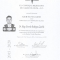 Ampliar imagen: certificate 3