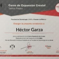 Ampliar imagen: certificate 14