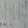 Ampliar imagen: certificate 1